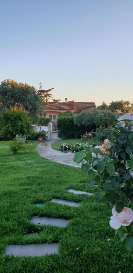 Villa Luce B&B Olbia Eksteriør billede